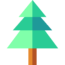 pine-tree